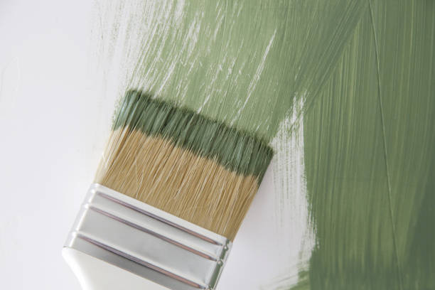 Best Mold Damage Restoration  in Siena College, NY