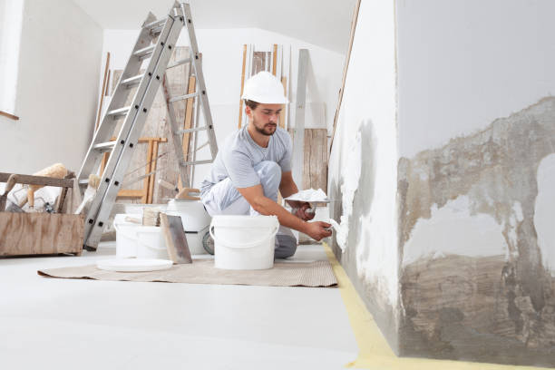Best Mold Remediation for Rental Properties  in Siena College, NY