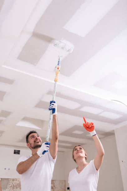 Best Forensic Mold Investigation  in Siena College, NY