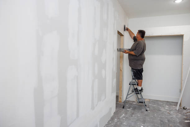Best Water Damage & Mold Remediation  in Siena College, NY