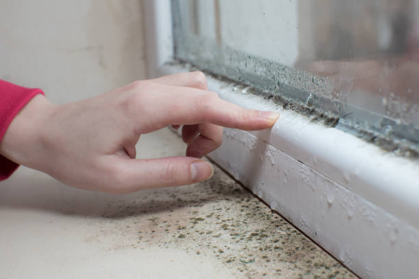 Siena College, NY Mold Removal Company