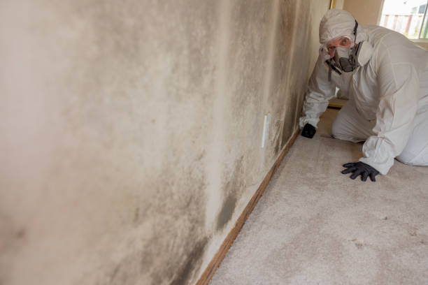Asbestos and Lead Testing During Mold Inspection in Siena College, NY