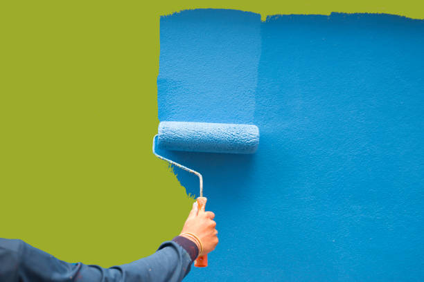 Best Emergency Mold Remediation  in Siena College, NY